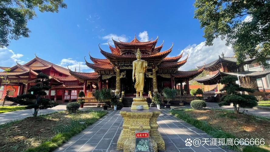 云南省普洱市景谷傣族彝族自治县足不出户区境外输入详情(云南省普洱市景谷县是哪个区)