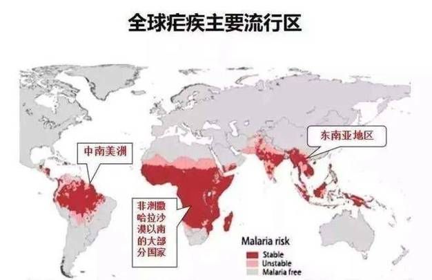 全球新增5例境外输入及30例无症状(全球新增病例情况)
