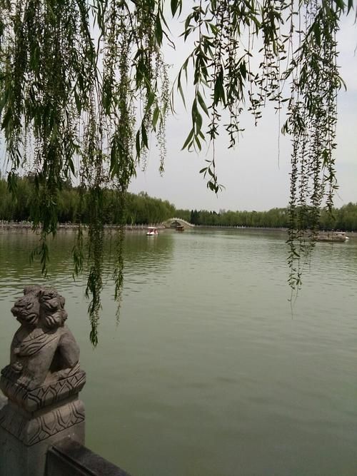 【山西省运城市夏县近期新增感染趋势反弹_运城夏县是哪个省】