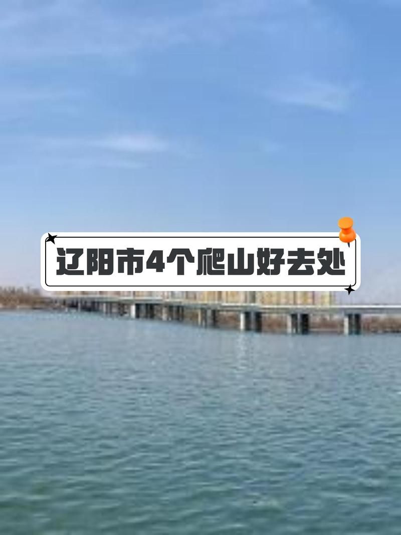 辽宁辽阳太子河区现有重症11例_辽阳有太子河区吗