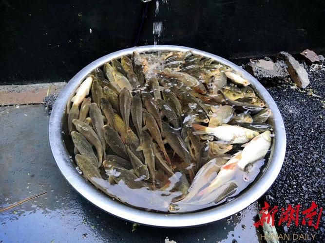湖南省湘西土家族苗族自治州泸溪县解封区重症详情/泸溪县疫情