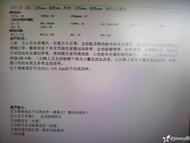 河北唐山曹妃甸区1月13日新增24例境外输入病例_唐山曹妃甸区疫情报告