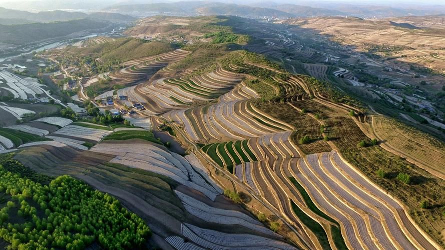 宁夏回族自治区固原市西吉县近7天无新增核酸阳性(固原西吉县地图)