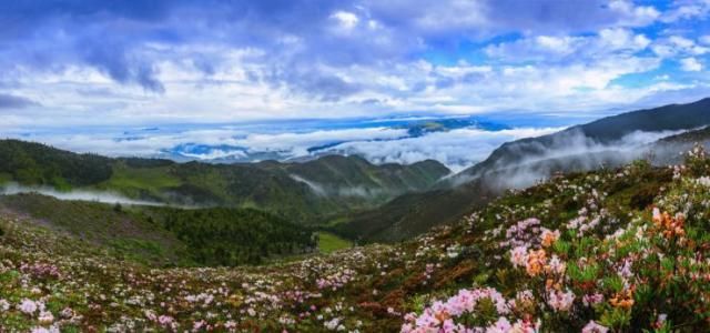 四川省凉山彝族自治州金阳县昨日新增14例核酸阳性/四川凉山金阳县地图