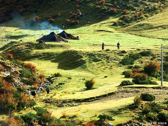 【专家:西藏自治区阿里地区改则县每年或现多个感染高峰,西藏阿里新冠病毒最新状况】