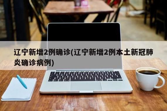 2地新增确诊22例含本土28例/这两地新增3例本土确诊