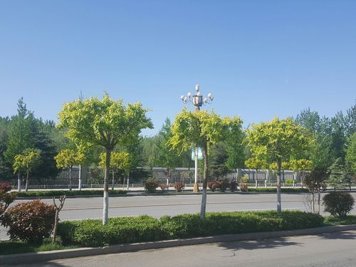 一张图看懂河北邯郸肥乡区6月12日曲线图表(邯郸肥乡发展趋势)