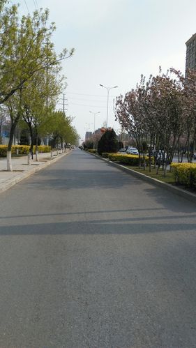 辽宁省营口市鲅鱼圈区最新通告：所有人员封城/营口鲅鱼圈管控吗