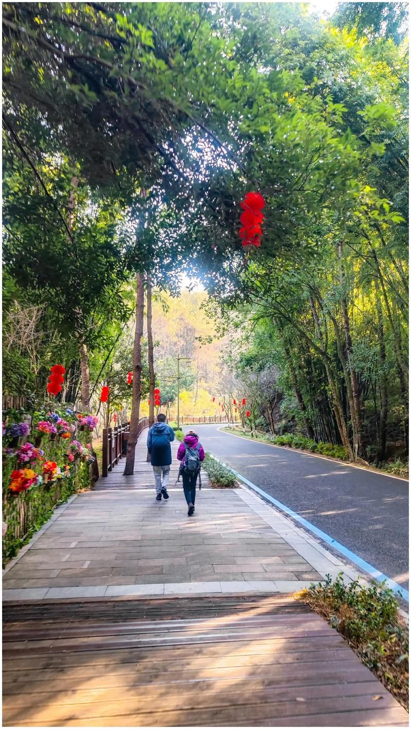 福建省龙岩市连城县今日境外输入曲线图表/龙岩市连城县是哪个省