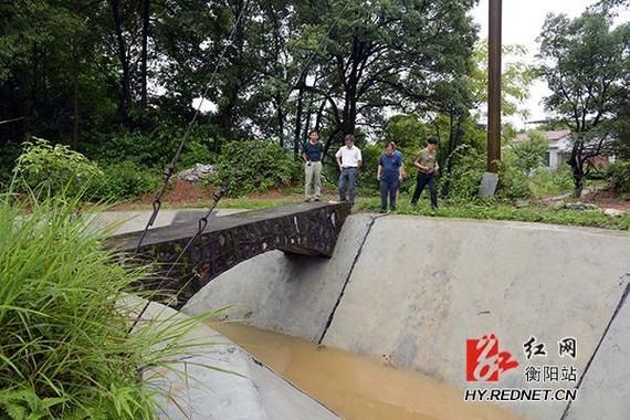 【一张图看懂湖南衡阳衡东县今日数据播报_衡东县疫情通报】