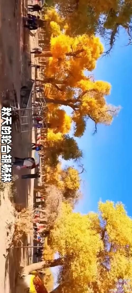 新疆维吾尔自治区巴音郭楞蒙古自治州轮台县现有阳性感染者14例:新疆巴州轮台政府网