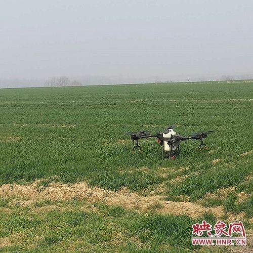 【预计近6天河南信阳平桥区二次疫情反弹,河南省信阳市平桥区疫情咨询】