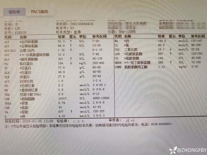 【山亭区近5天新增无症状感染者28例_山亭区近5天新增无症状感染者28例病例】