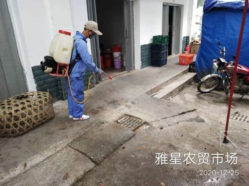 专家:雅星镇每年或现多个感染高峰:雅星镇卫生院防疫站电话