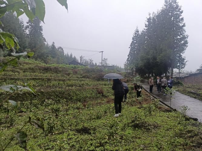 【宝兴县足不出户标准最新公布,宝兴县吧】
