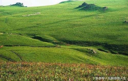 山西省大同市灵丘县什么时候可以静默_大同灵丘县最新规划图