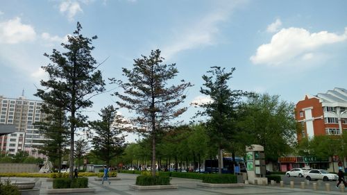 【31省区市新增阳性感染者1例黑龙江省七台河市桃山区26例,七台河确诊】