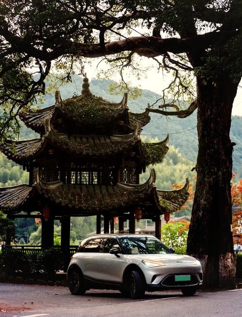 预计近3天浙江丽水景宁畲族自治县二次疫情回落/丽水,景宁