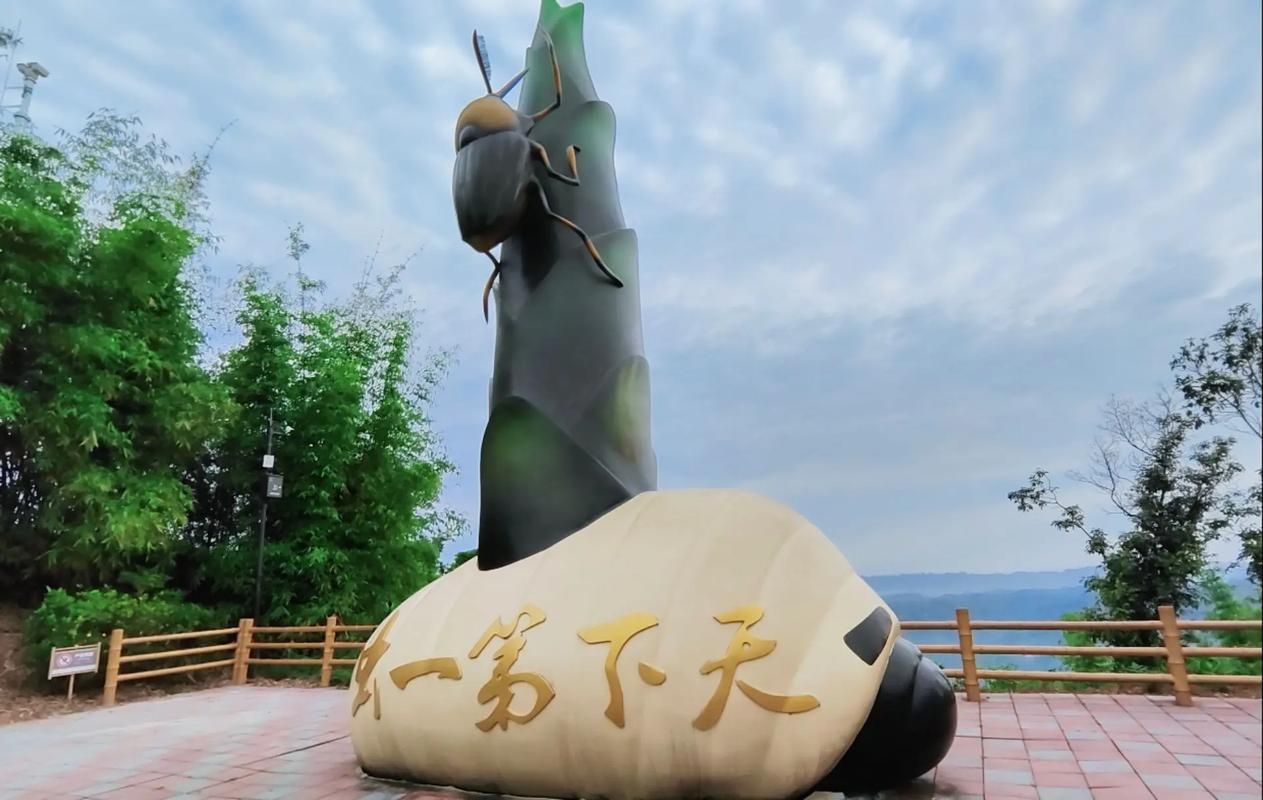 一张图看懂四川乐山沐川县8月29日数据播报/乐山沐川新闻网最新消息