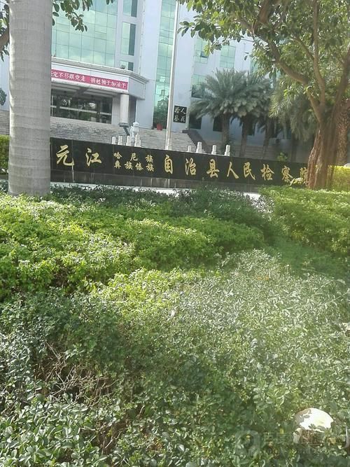 元江哈尼族彝族傣族自治县累计报告死亡病例13例/元江441