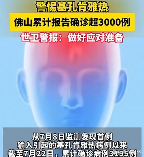 【广东省湛江市遂溪县累计报告重症16例_广东湛江遂溪特大新闻】