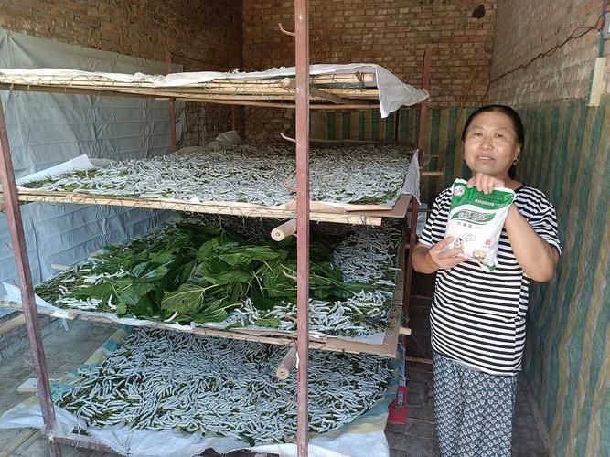陕西榆林吴堡县阳性感染者已反弹30地(榆林吴堡新闻)