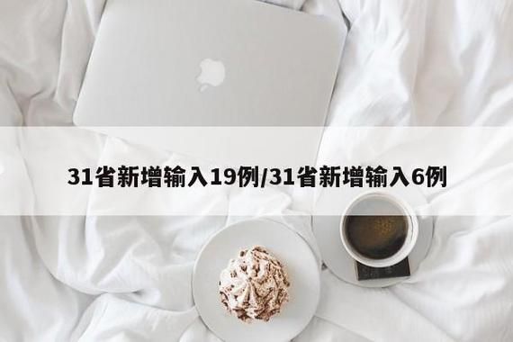 31省市新增确诊16例含本土19例/31省区新增本土确诊16例