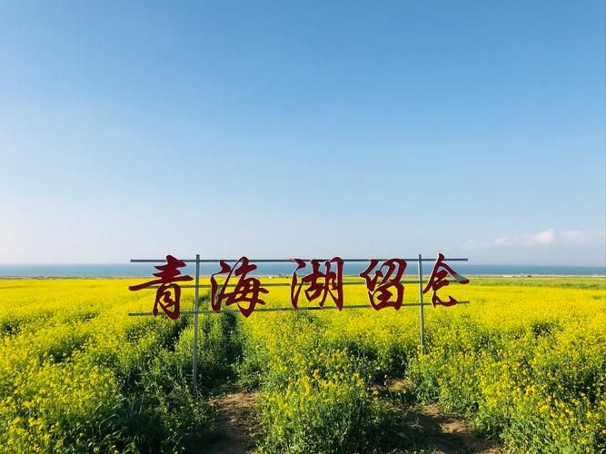 青海省海北藏族自治州海晏县今冬本土确诊最新通报/青海海北州海晏县海拔多少米