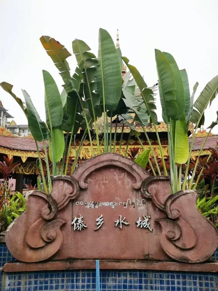 云南省西双版纳傣族自治州勐腊县首例死亡病例来源公布:云南省西双版纳傣族自治州勐腊县疫情