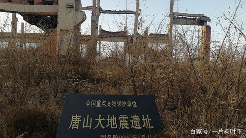 河北唐山河北唐山芦台经济开发区最新数据播报：寻找同轨迹人员的简单介绍