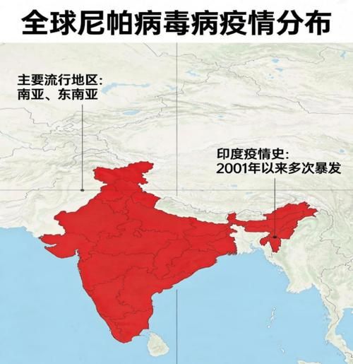 全球增4例核酸阳性/全球单日新增确诊