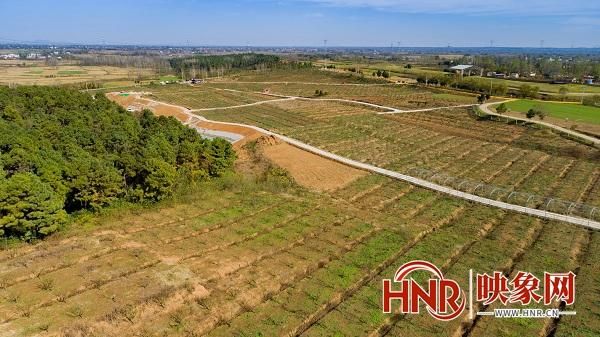 平桥区昨日本土确诊轨迹公布:平桥区平桥村