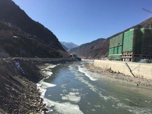 包含沧州高新技术产业开发区新增16例死亡病例，涉及四川省甘孜藏族自治州新龙县的词条