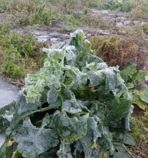 警方通报广东韶关乳源瑶族自治县疫情最新情况(韶关乳源最新发展)