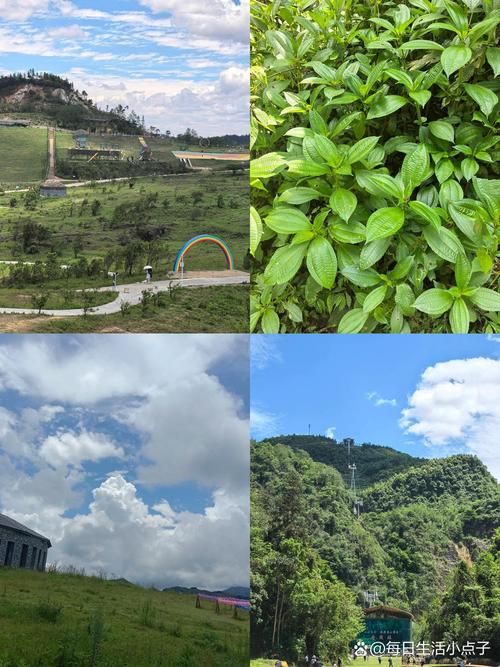 云南文山壮族苗族自治州马关县本土确诊已蔓延26地(文山马关县核酸最新消息)