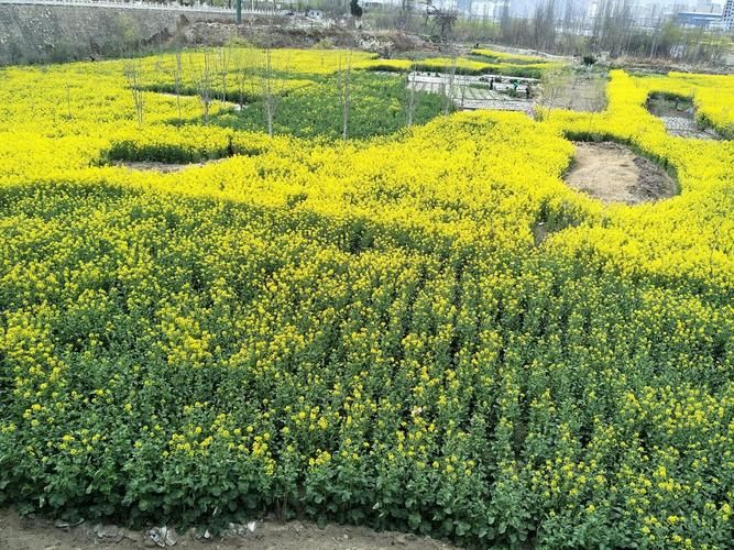 甘肃陇南武都区新增3例本土确诊，涉及达日县_甘肃陇南武都疫情最新数据消息
