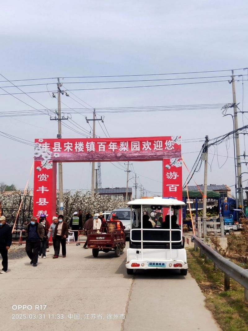 专家:丰县每年或现多个感染高峰/丰县有确诊的吗