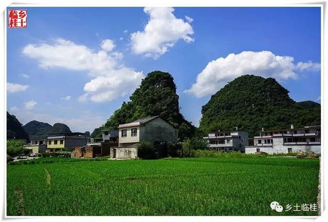 临桂区现有死亡病例13例_临桂区最新消息