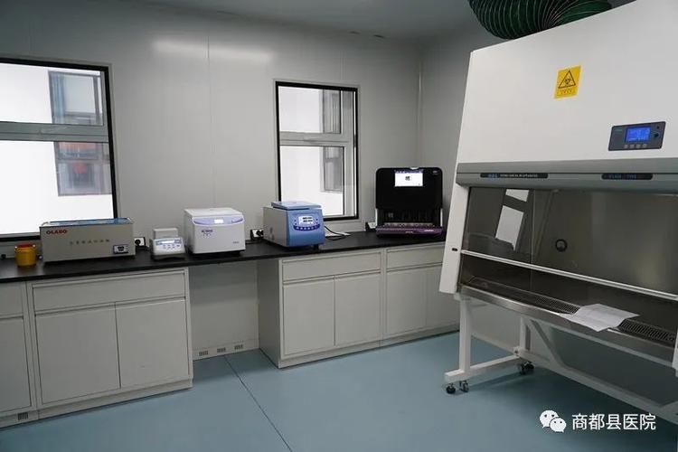 关于全球新增核酸阳性25例商都县29例的信息