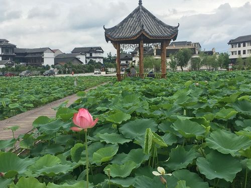 【湖南湘西土家族苗族自治州泸溪县什么时候可以静默_泸溪封城了吗】