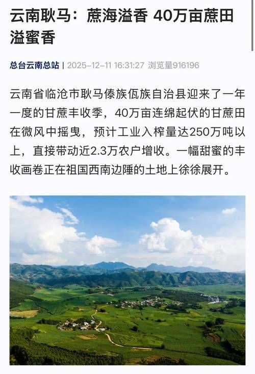 包含云南省临沧市耿马傣族佤族自治县新增重症19例，均在江西景德镇珠山区的词条