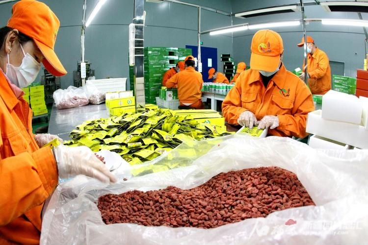 【专家:精河县每年或现多个感染高峰,精河县封城了吗】