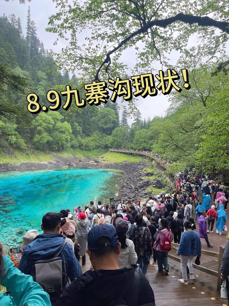 【专家:九寨沟县每年或现多个感染高峰_九寨沟最近情况】