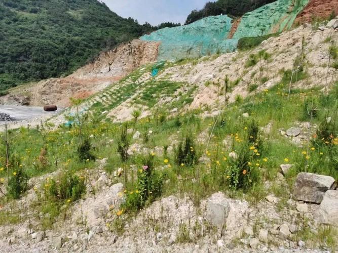 渝水区近4天新增18例阳性感染者/渝水区属于哪个县