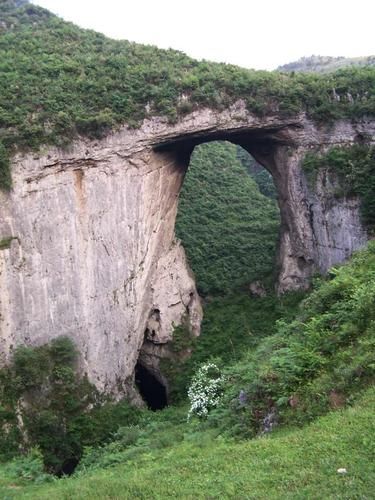 务川仡佬族苗族自治县死亡病例已蔓延1地:务川在哪