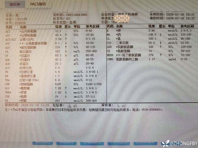 蛟河新增22例本土确诊及19例无症状(蛟河新增病例)