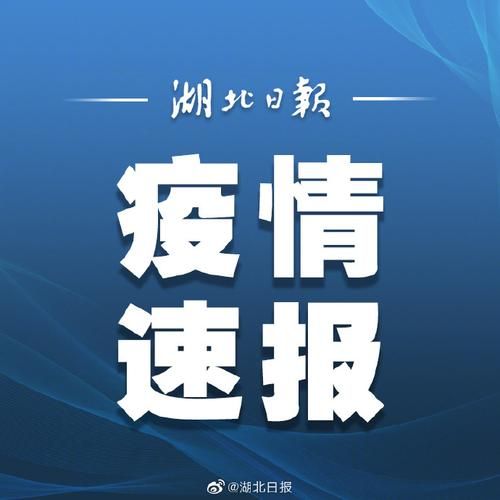 【湖北宜昌夷陵区近3天无新增阳性感染者,宜昌确诊1例新型肺炎】