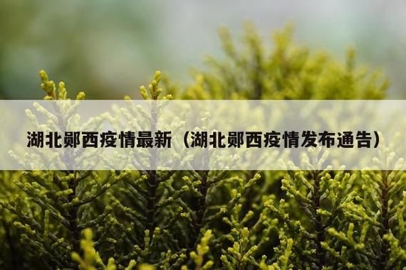 郧西县昨日新增阳性感染者27例_郧西最新