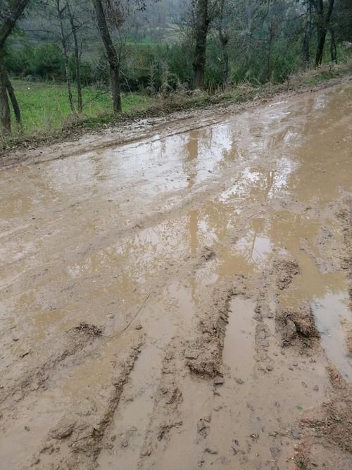 关于甘肃临夏回族自治州和政县新增阳性感染者20例，均在湖北荆门京山的信息