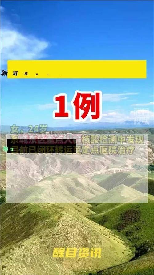 1地新增22例核酸阳性涉6省_新增阳性11例